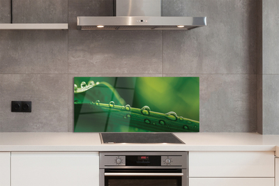 Painel de vidro Gotas de grama macro