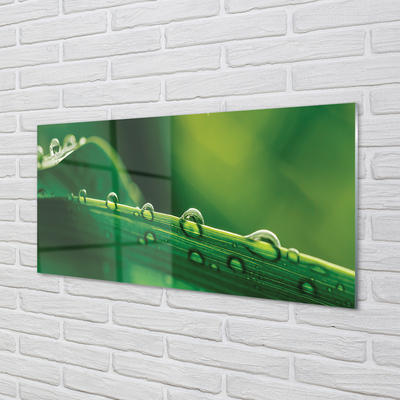 Painel de vidro Gotas de grama macro