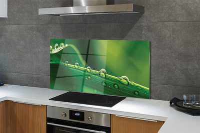 Painel de vidro Gotas de grama macro