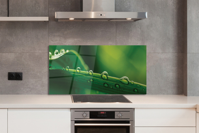 Painel de vidro Gotas de grama macro