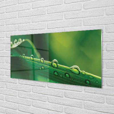 Painel de vidro Gotas de grama macro
