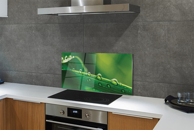 Painel de vidro Gotas de grama macro