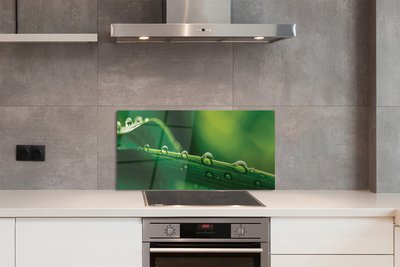 Painel de vidro Gotas de grama macro