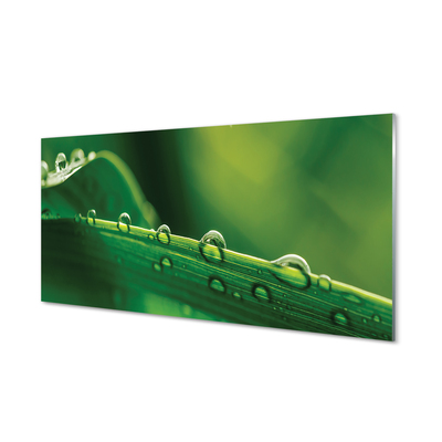 Painel de vidro Gotas de grama macro