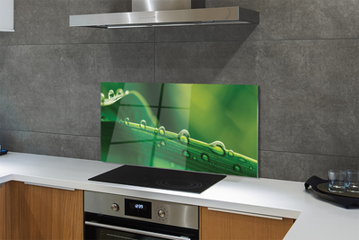 Painel de vidro Gotas de grama macro