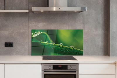 Painel de vidro Gotas de grama macro