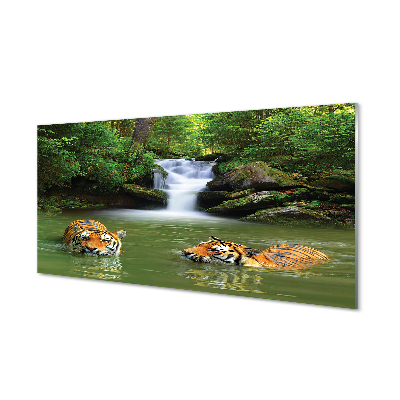 Painel de vidro Cachoeira do Tigre