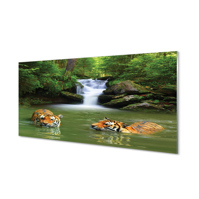 Painel de vidro Cachoeira do Tigre