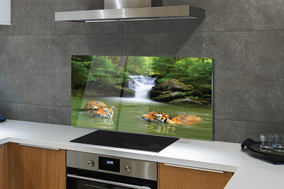 Painel de vidro Cachoeira do Tigre