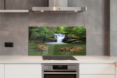 Painel de vidro Cachoeira do Tigre