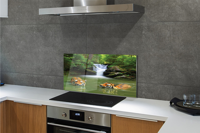 Painel de vidro Cachoeira do Tigre