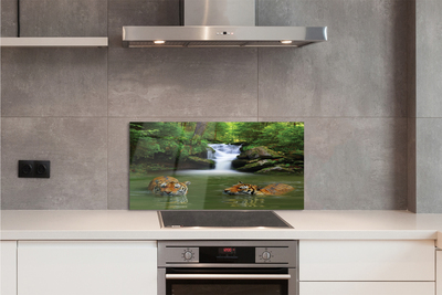 Painel de vidro Cachoeira do Tigre