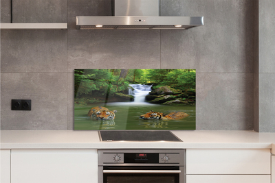 Painel de vidro Cachoeira do Tigre