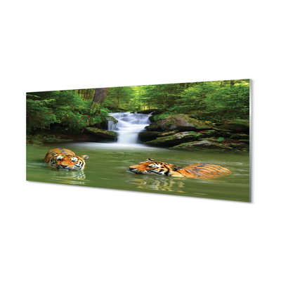 Painel de vidro Cachoeira do Tigre