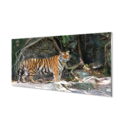 Painel de vidro Tigre da selva