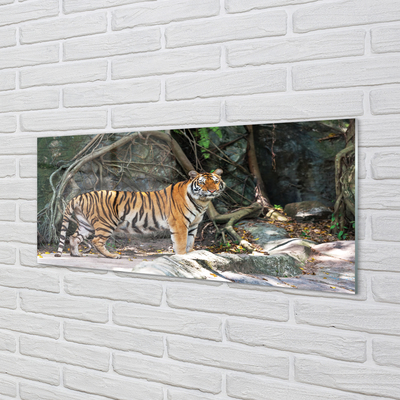 Painel de vidro Tigre da selva
