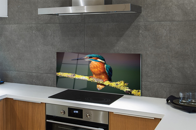 Painel de vidro Um pássaro colorido em um galho