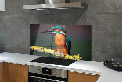 Painel de vidro Um pássaro colorido em um galho