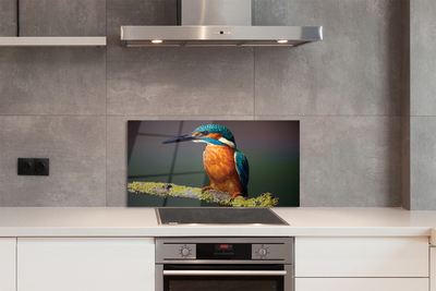 Painel de vidro Um pássaro colorido em um galho