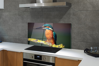 Painel de vidro Um pássaro colorido em um galho