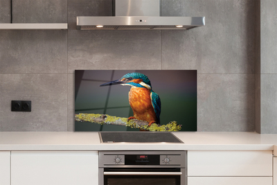 Painel de vidro Um pássaro colorido em um galho