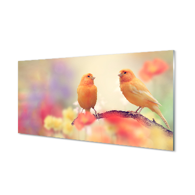 Painel de vidro Papagaios coloridos