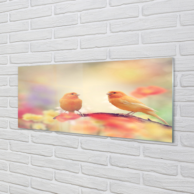 Painel de vidro Papagaios coloridos