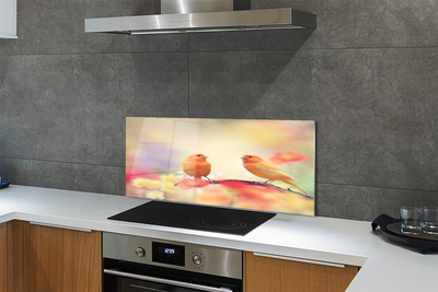 Painel de vidro Papagaios coloridos