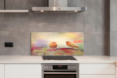 Painel de vidro Papagaios coloridos