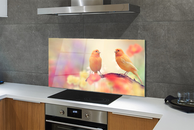 Painel de vidro Papagaios coloridos