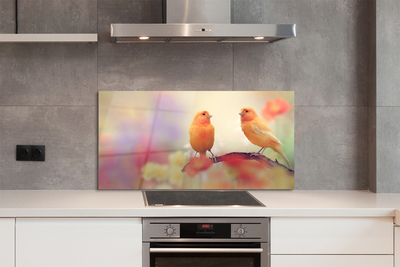 Painel de vidro Papagaios coloridos