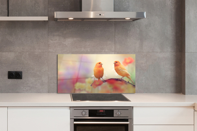 Painel de vidro Papagaios coloridos