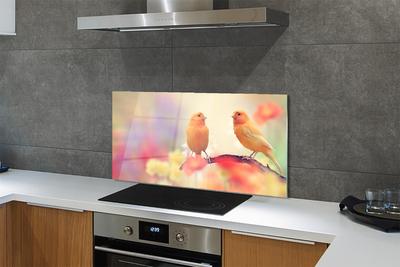 Painel de vidro Papagaios coloridos