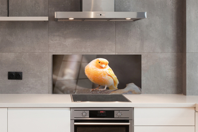 Painel de vidro Galho de papagaio