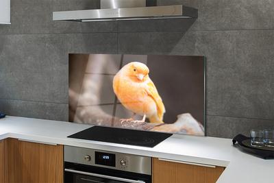 Painel de vidro Galho de papagaio