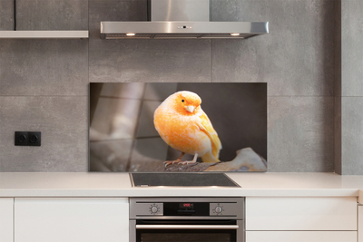 Painel de vidro Galho de papagaio