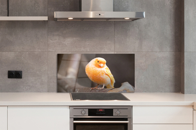 Painel de vidro Galho de papagaio