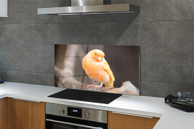 Painel de vidro Galho de papagaio