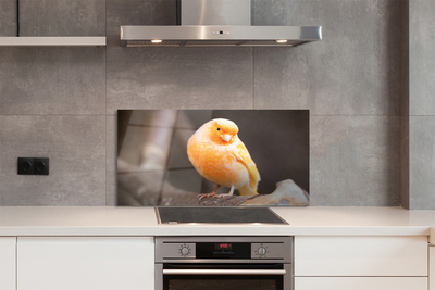 Painel de vidro Galho de papagaio