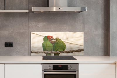 Painel de vidro Papagaios verdes