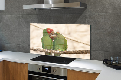 Painel de vidro Papagaios verdes