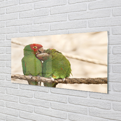 Painel de vidro Papagaios verdes