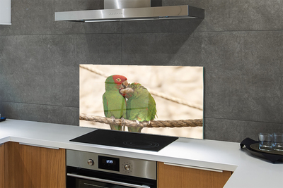 Painel de vidro Papagaios verdes