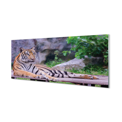 Painel de vidro Tigre no zoológico