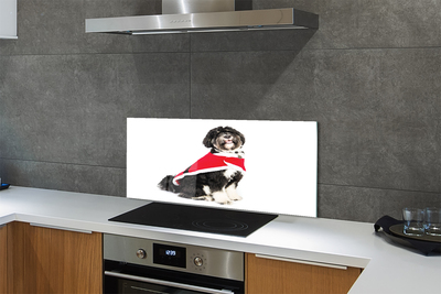 Painel de vidro Cachorro