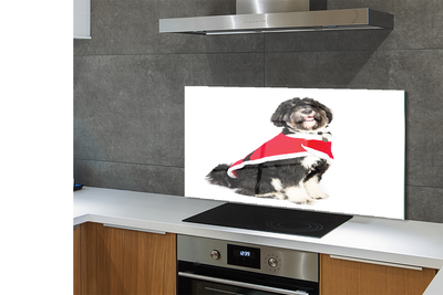 Painel de vidro Cachorro