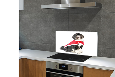 Painel de vidro Cachorro