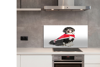 Painel de vidro Cachorro