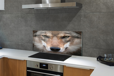 Painel de vidro Olhos de lobo