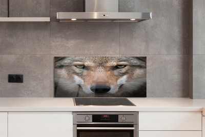 Painel de vidro Olhos de lobo